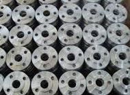 Nickel & Copper Alloy flanges