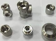 Tantalum Forged fitting